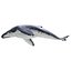 humpback whale pose 3 3d c4d