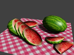 watermelon fruit 3d model