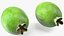 Owoc Feijoa