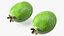 Fruits Collection 10
