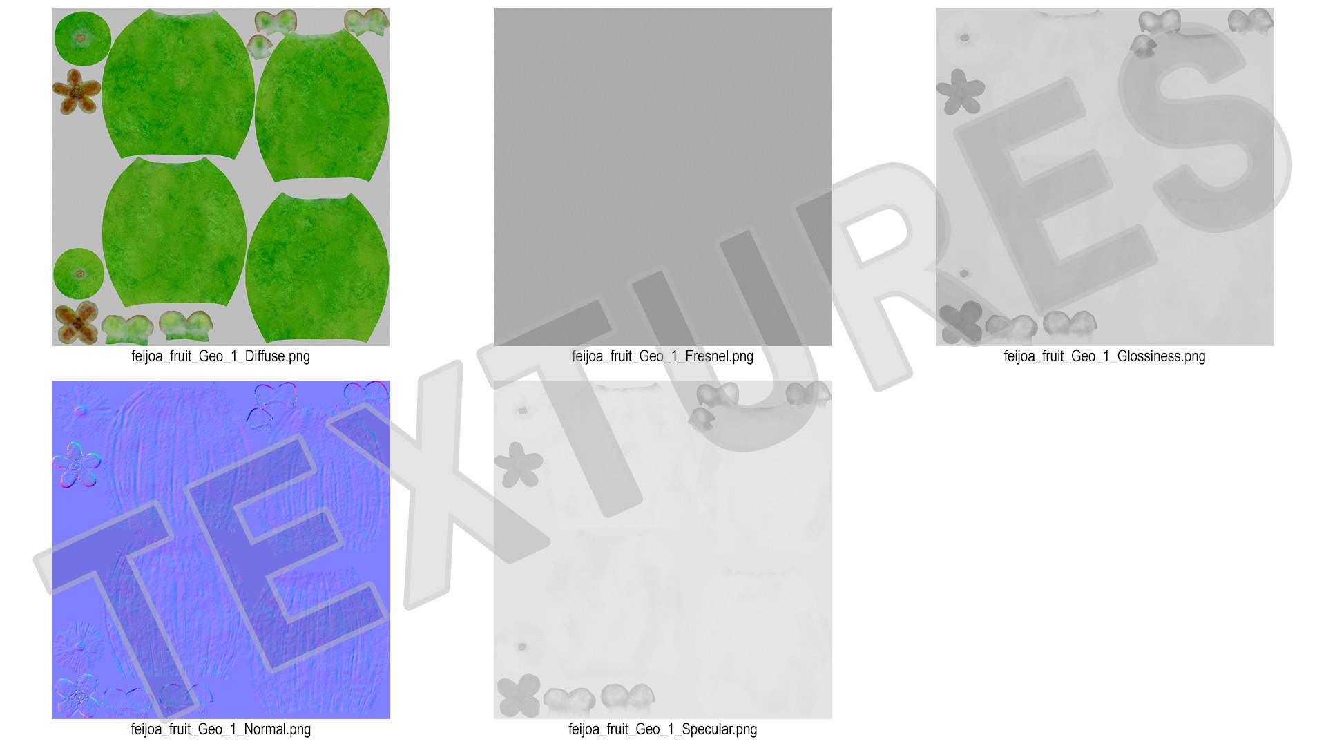 3D model Feijoa Fruit https://p.turbosquid.com/ts-thumb/AY/vWKHPG/gG/feijoafruitc4dmodel019/jpg/1641771451/1920x1080/fit_q87/a8b30beaa69bfbbc9ec8a3c0d76dbb697ba09570/feijoafruitc4dmodel019.jpg
