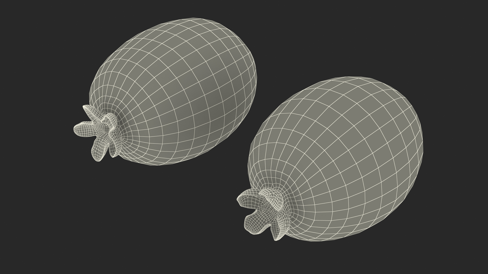 3D model Feijoa Fruit https://p.turbosquid.com/ts-thumb/AY/vWKHPG/s4/feijoa_fruit_361/jpg/1641771481/1920x1080/turn_fit_q99/84bb3b3077e5d87809daf1d2382dd726dc544718/feijoa_fruit_361-1.jpg