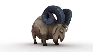Wild Goat