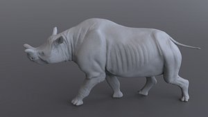 Megacerops coloradensis