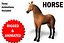 3D Pferd manipuliert und animiert