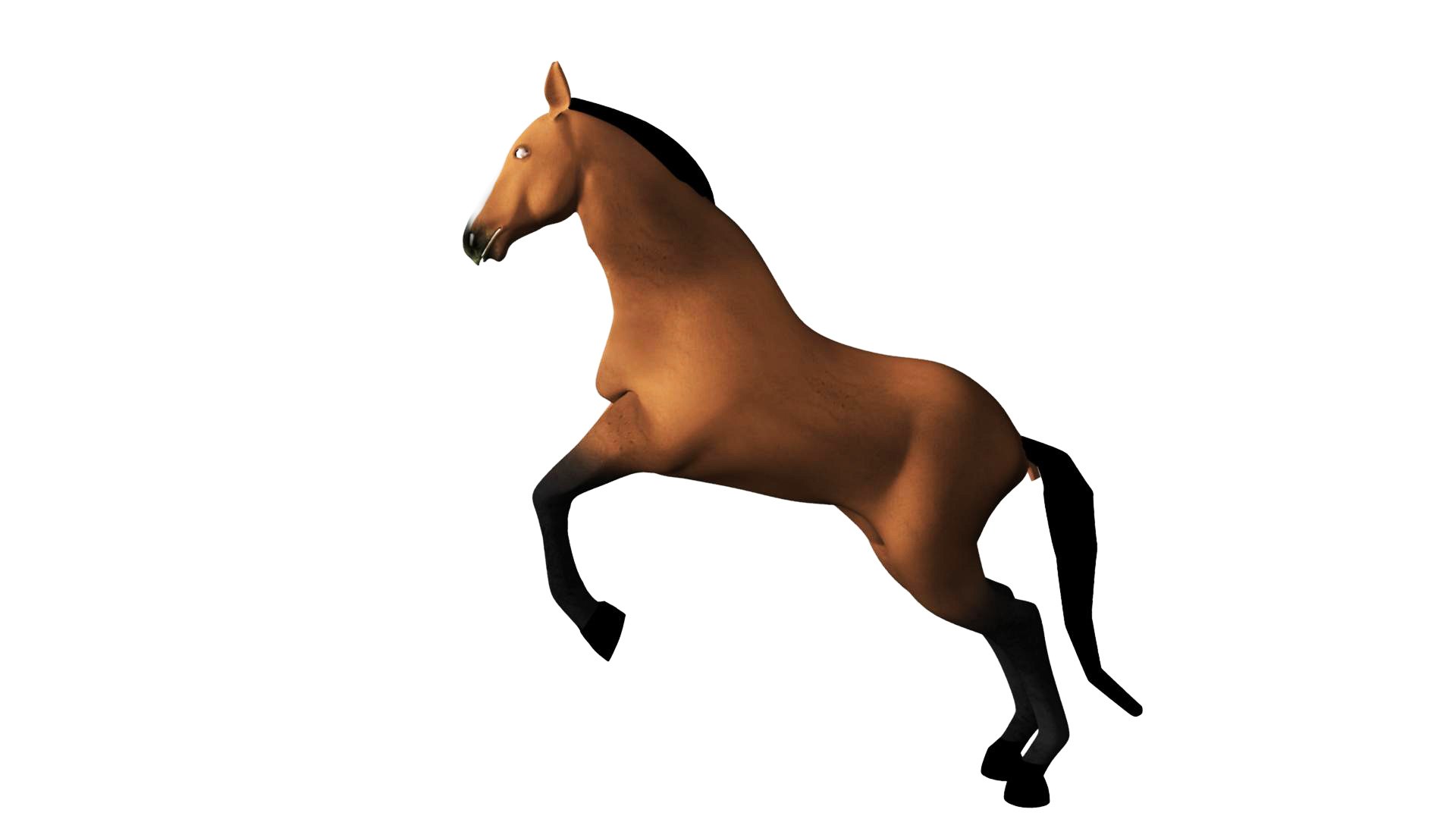 3D rigged horse animations model https://p.turbosquid.com/ts-thumb/AZ/AR78Pb/qQBcBZjZ/horse_0006/jpg/1549439795/1920x1080/fit_q87/48ca8045057ebb0df938f168af31a4e6fac918a3/horse_0006.jpg