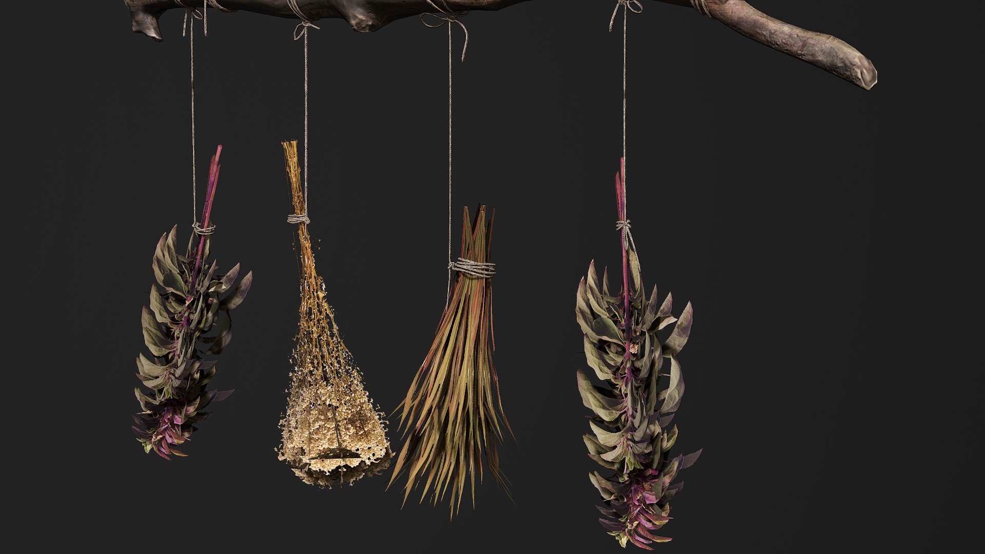 3D Dried Herbs - PBR Game Ready https://p.turbosquid.com/ts-thumb/AZ/JOI4HF/BE/screenshot008/png/1723636439/1920x1080/fit_q87/8eb079b545fe1c002705fd86a607dc6af10535ff/screenshot008.jpg