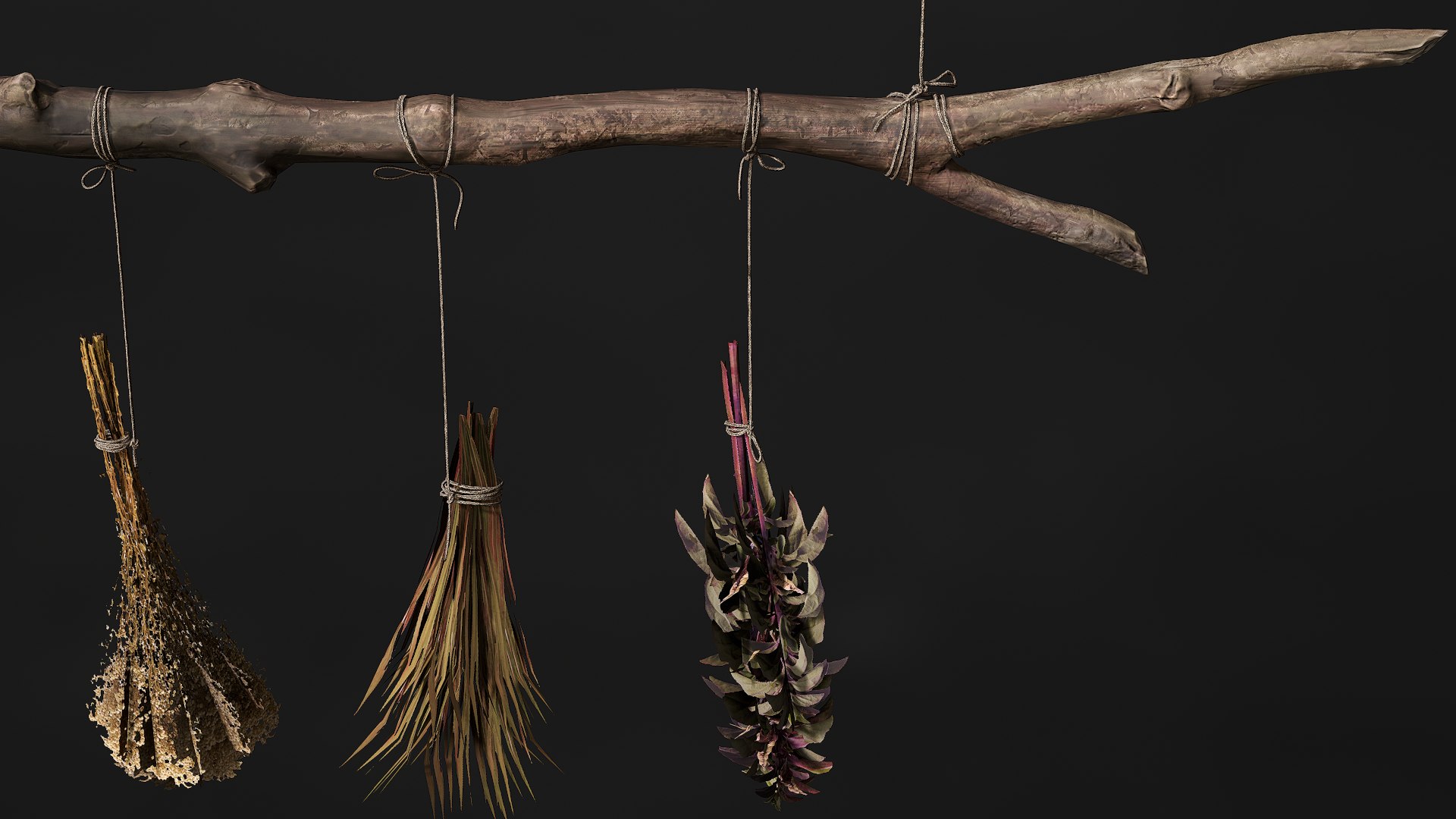 3D Dried Herbs - PBR Game Ready https://p.turbosquid.com/ts-thumb/AZ/JOI4HF/KH/screenshot006/png/1723636437/1920x1080/fit_q87/fa2a29843c504bf41f4be907f405128155f5a5c9/screenshot006.jpg