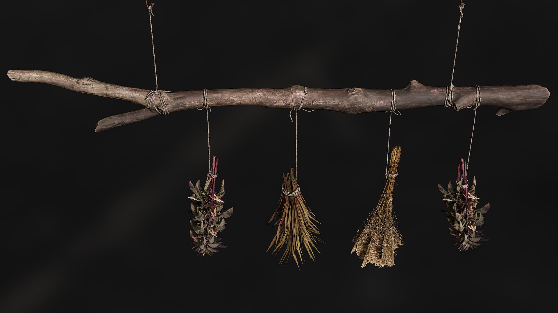 3D Dried Herbs - PBR Game Ready https://p.turbosquid.com/ts-thumb/AZ/JOI4HF/uE/screenshot007/png/1723636437/1920x1080/fit_q87/e337db23c932bf41262962659306ab76225e0847/screenshot007.jpg