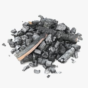 Burned Logs and Ashes