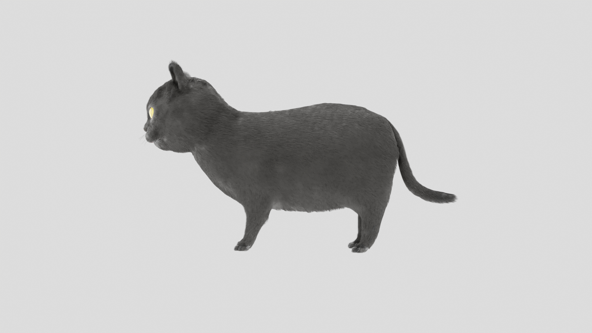 British Shorthair Cat 3D Model Rigged and Animated 3D model https://p.turbosquid.com/ts-thumb/AZ/PsrCWj/6h/cat/png/1730514491/1920x1080/turn_fit_q99/4ba00b8dfbbddebca9e5067088fcc6530cec0c9e/cat-1.jpg