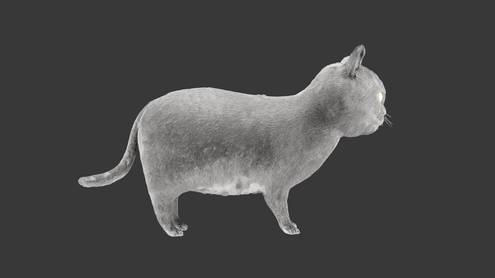 British Shorthair Cat 3D Model Rigged and Animated 3D model https://p.turbosquid.com/ts-thumb/AZ/PsrCWj/A2/cat2/png/1730514467/1920x1080/fit_q87/36339cb14b8ca3147ccd35c483fe359dfb40f933/cat2.jpg