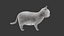 Cat 3D Model Rigged and Animated British Shorthair