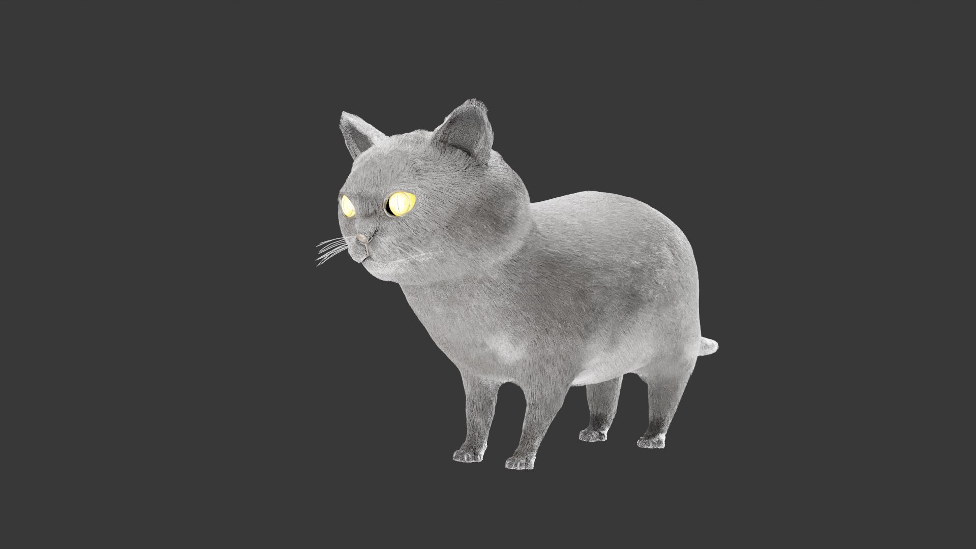 British Shorthair Cat 3D Model Rigged and Animated 3D model https://p.turbosquid.com/ts-thumb/AZ/PsrCWj/OX/cat/png/1730514459/1920x1080/fit_q87/3d828f1c58a97cedc2b3d02209973dc322ed9123/cat.jpg