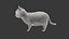 Cat 3D Model Rigged and Animated British Shorthair
