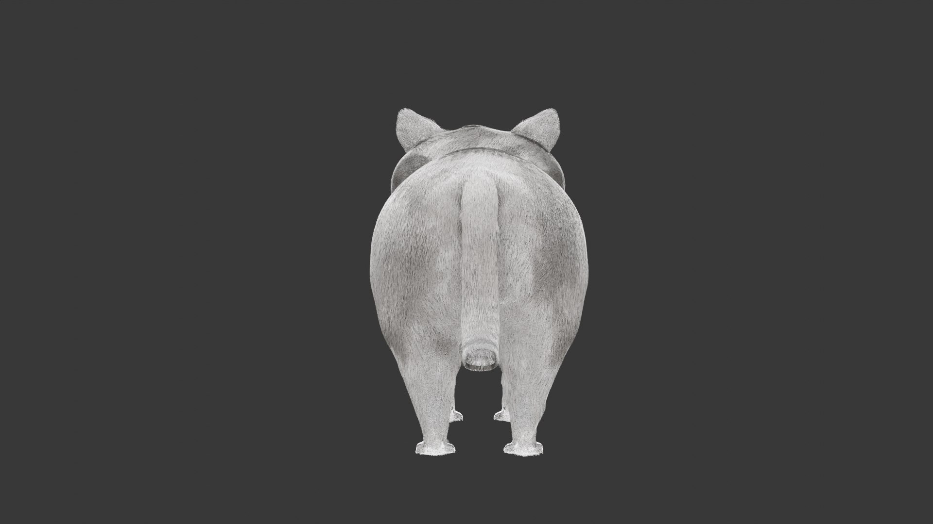 British Shorthair Cat 3D Model Rigged and Animated 3D model https://p.turbosquid.com/ts-thumb/AZ/PsrCWj/YD/cat4/png/1730514476/1920x1080/fit_q87/d13a60a8704c1cee0f6f1035d3f345f4ab4ff589/cat4.jpg