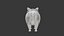 Cat 3D Model Rigged and Animated British Shorthair