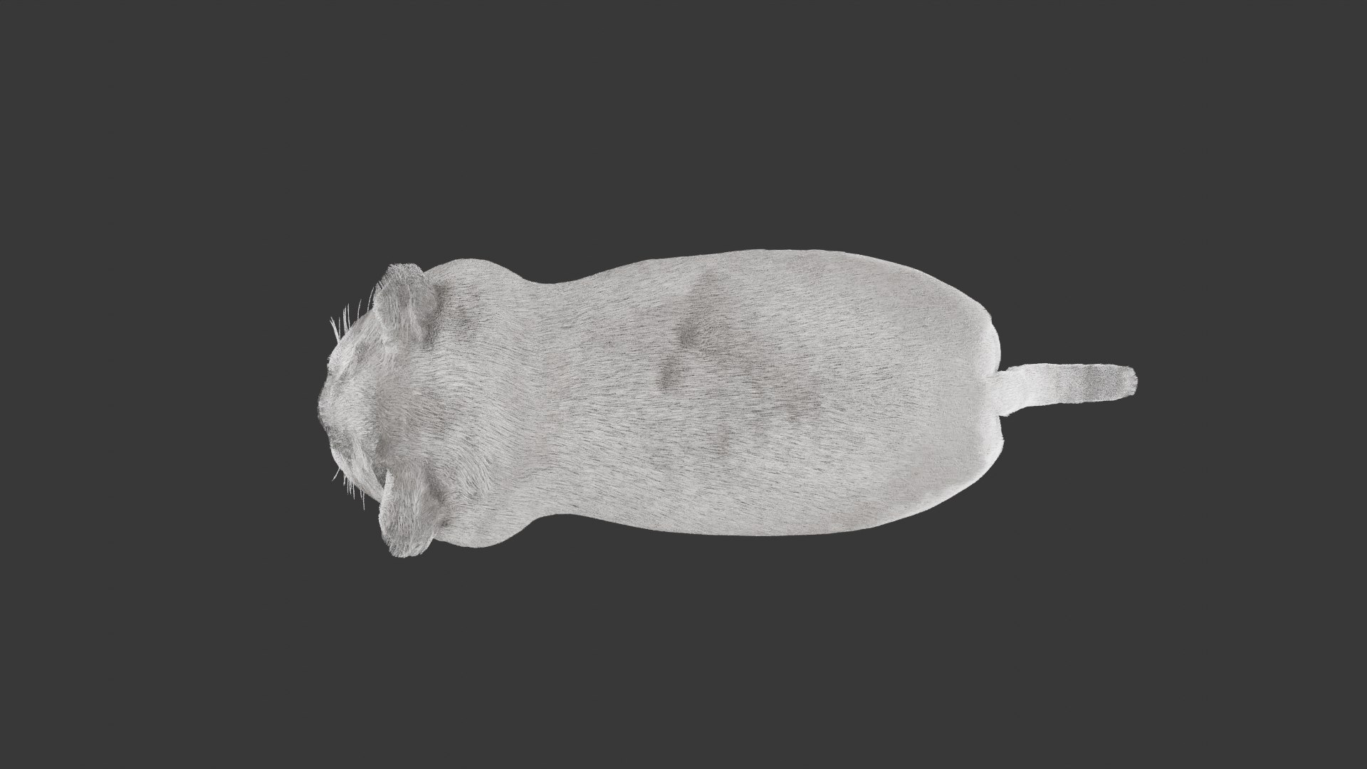 British Shorthair Cat 3D Model Rigged and Animated 3D model https://p.turbosquid.com/ts-thumb/AZ/PsrCWj/lJ/cat5/png/1730514473/1920x1080/fit_q87/adc368c8a08c58f2bfa5e48b831737cc59165446/cat5.jpg