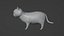 Cat 3D Model Rigged and Animated British Shorthair