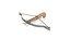 crossbowPbrmodel