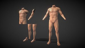 Fit Male Anatomy - Body parts base mesh pack model