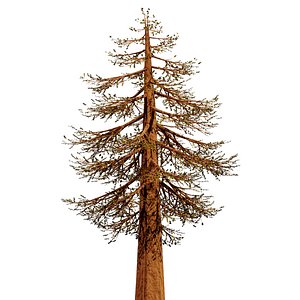 Animated Tree 2