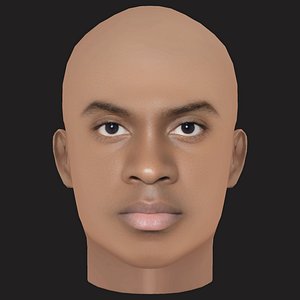 Low Poly Damso Rapper Head