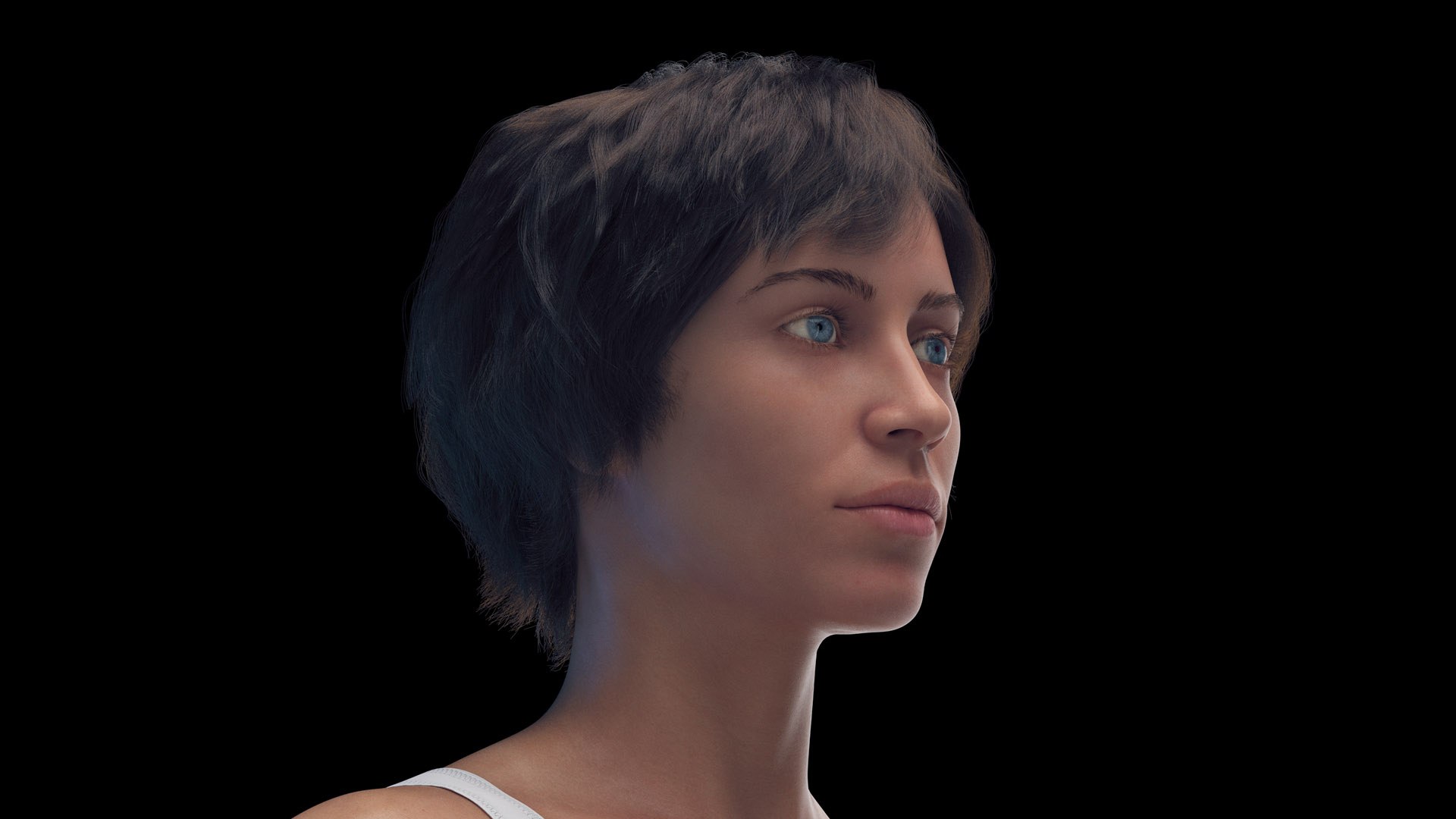 3D Human Female Body and Vascular System Static https://p.turbosquid.com/ts-thumb/Aa/HVIJ4P/6d/female_body0001/jpg/1682448613/1920x1080/fit_q87/3ed66d2a95b18c9f93e8e50bda7eb534a03006f3/female_body0001.jpg