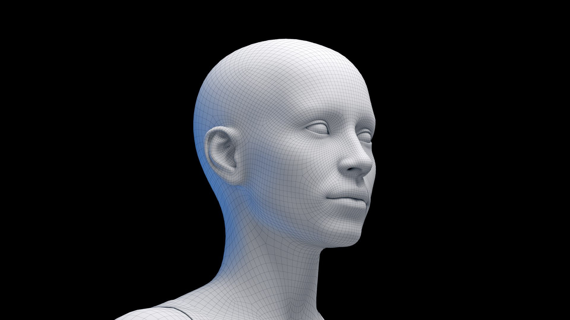 3D Human Female Body and Vascular System Static https://p.turbosquid.com/ts-thumb/Aa/HVIJ4P/UV/female_body_wire0001/jpg/1682708198/1920x1080/fit_q87/1b59e2eea0d6db68aec024bf3b771201e457f4ff/female_body_wire0001.jpg
