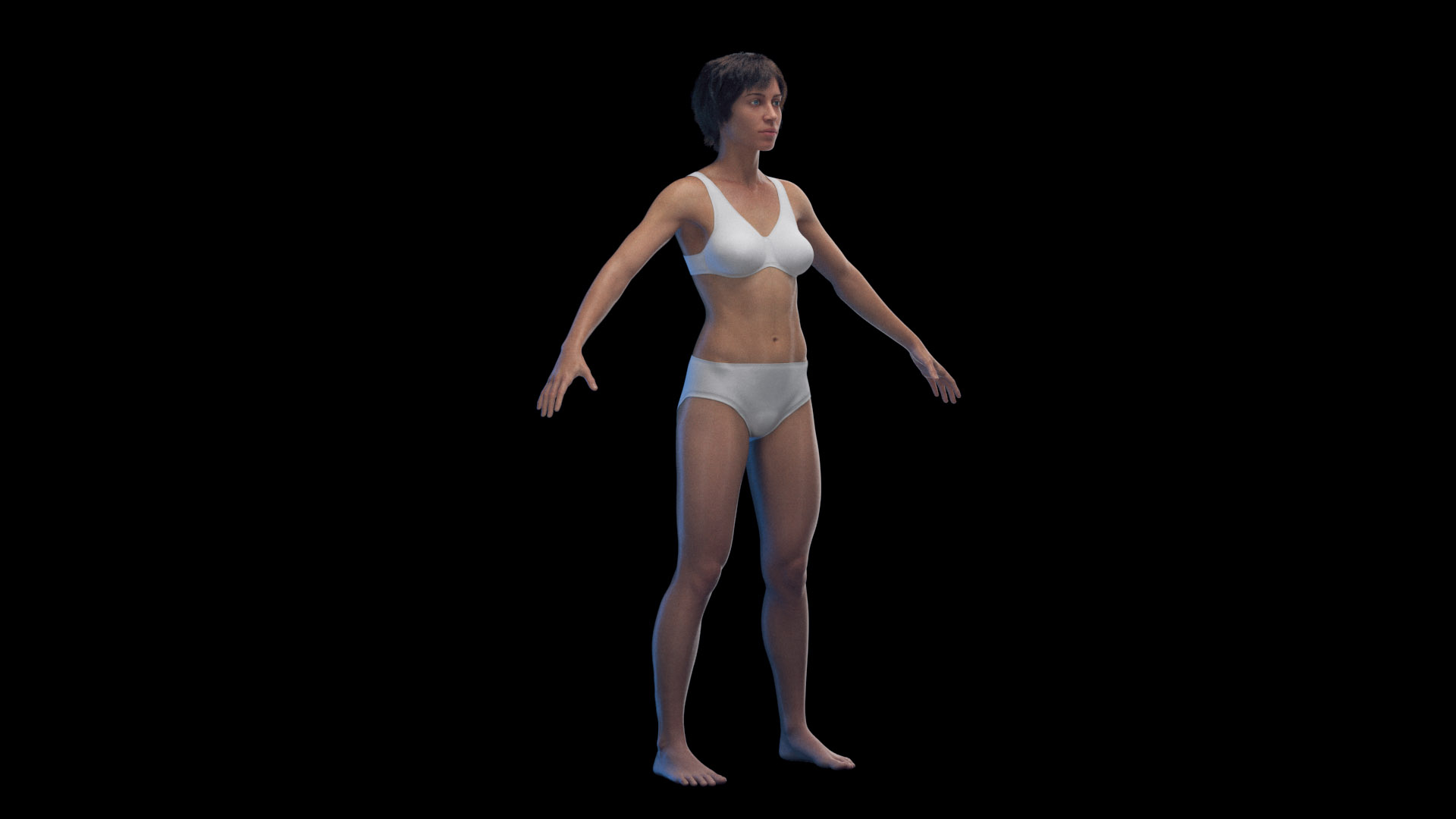3D Human Female Body and Vascular System Static https://p.turbosquid.com/ts-thumb/Aa/HVIJ4P/Zm/female_body_tt_01f/jpg/1682700205/1920x1080/turn_fit_q99/5bb665b7f41db5a176630c01255b590d591c6067/female_body_tt_01f-1.jpg