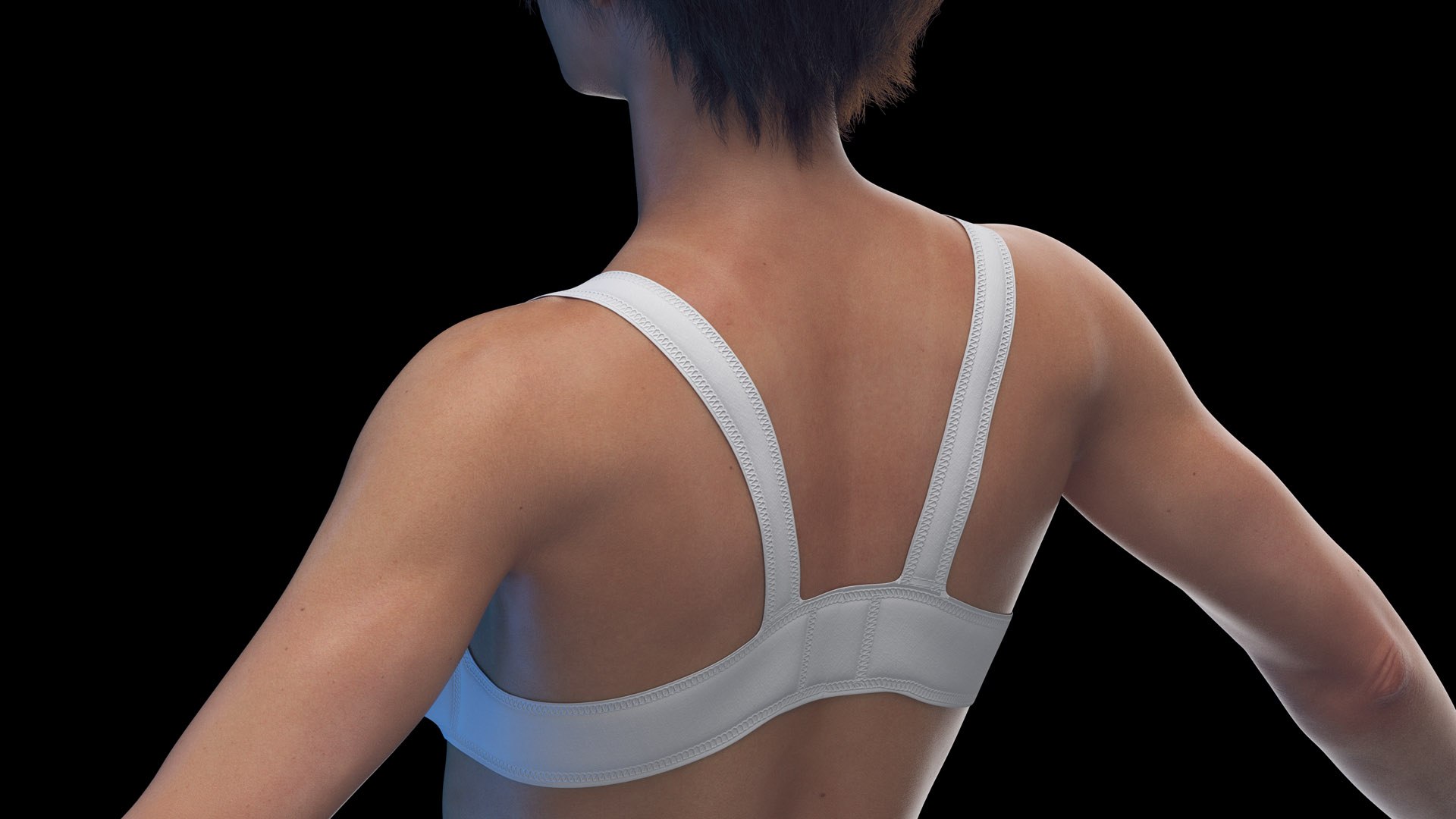 3D Human Female Body and Vascular System Static https://p.turbosquid.com/ts-thumb/Aa/HVIJ4P/e5/female_body0005/jpg/1682448608/1920x1080/fit_q87/3a76f04b0c68695e00ded30a36b409c107c6a949/female_body0005.jpg