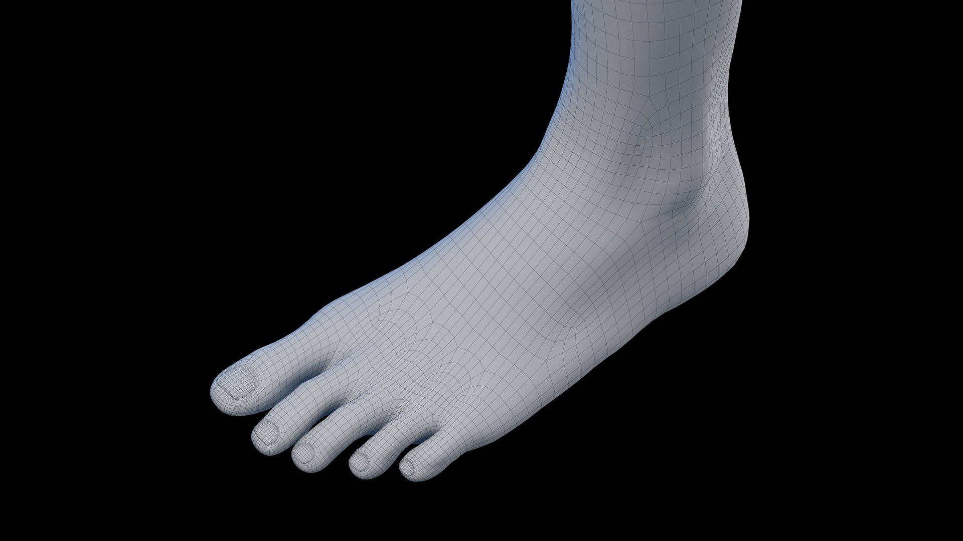3D Human Female Body and Vascular System Static https://p.turbosquid.com/ts-thumb/Aa/HVIJ4P/mS/female_body_wire0006/jpg/1682708194/1920x1080/fit_q87/2599d99bc7f6e0b960d4505caf00ded0ffb24528/female_body_wire0006.jpg