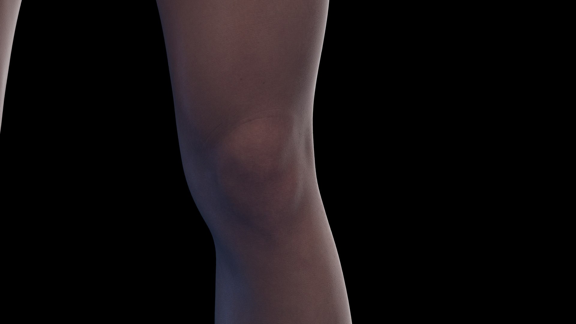 3D Human Female Body and Vascular System Static https://p.turbosquid.com/ts-thumb/Aa/HVIJ4P/zq/female_body0011/jpg/1682448611/1920x1080/fit_q87/033d1d4fb56b1ca08fd5832c11fa3ae485733af1/female_body0011.jpg