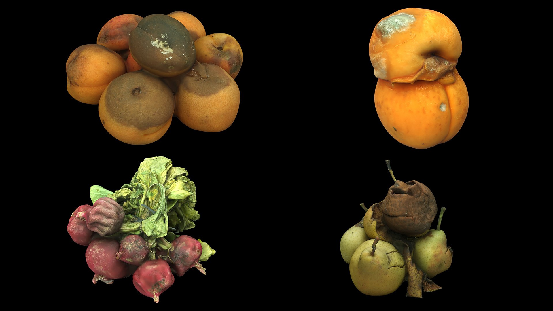 Rotten Fruits Collection 04 3D https://p.turbosquid.com/ts-thumb/Aa/YTmDnE/pT/collection04/jpg/1725525319/1920x1080/fit_q87/ff120ffdc7019d8deaf00b734a3cfd36d88d8e12/collection04.jpg