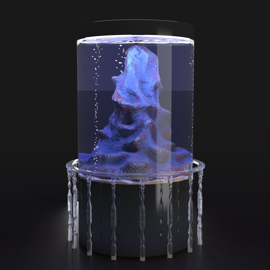 aquarium rock max https://p.turbosquid.com/ts-thumb/Aa/epvtmp/dNNCfqO5/aquariumrockround2/jpg/1460738158/1920x1080/fit_q87/d49b057504e2773224f4fcdbb8cf63161d6972c6/aquariumrockround2.jpg
