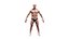 Realistic Male Body - Basic Rig - LOD8192 - 263MBody