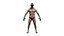 Realistic Male Body - Basic Rig - LOD8192 - 263MBody