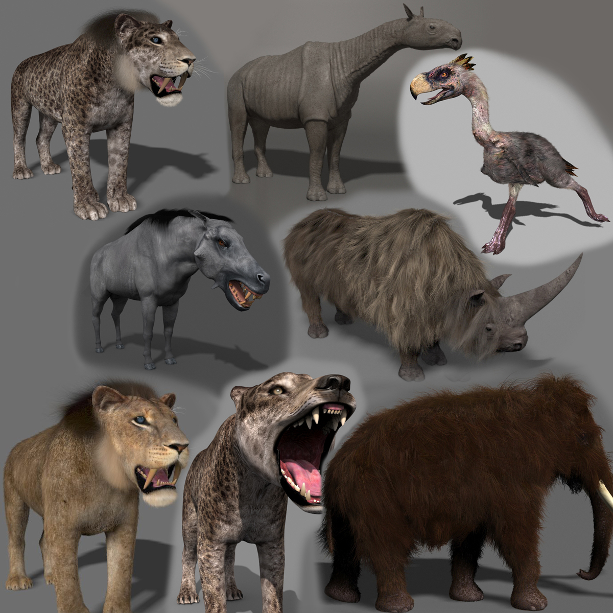 3D mammals pack pig animation model - TurboSquid 1394585
