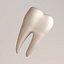 td6-first molar