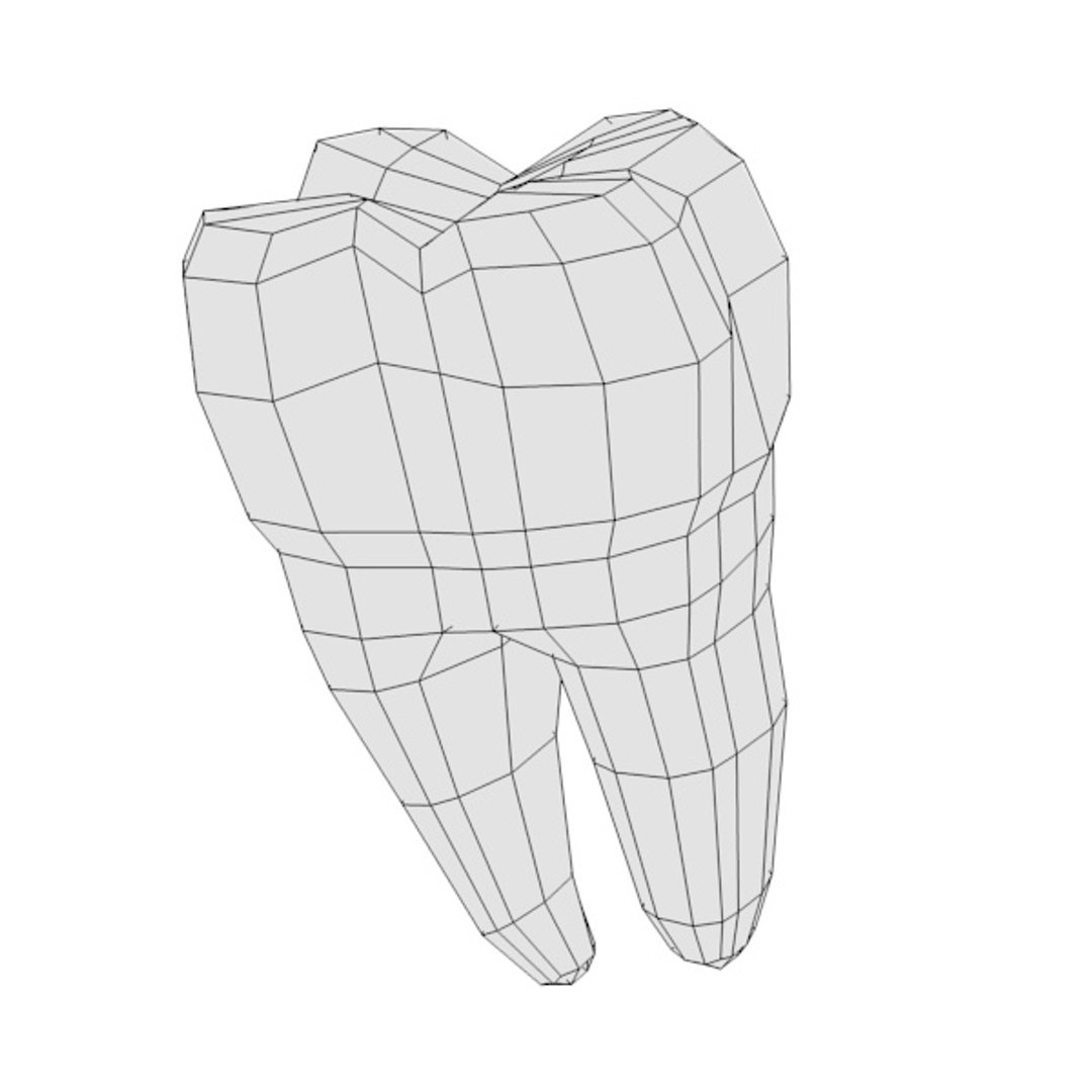 3ds molar https://p.turbosquid.com/ts-thumb/Aa/n2bKPo/opWpj46z/td6firstmolarw/jpg/1329342325/1920x1080/fit_q87/08ebaf107f75793882a158e255399580afd2473c/td6firstmolarw.jpg