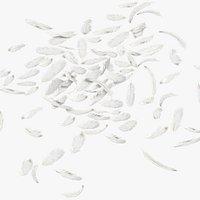 Scattered Feathers Medium