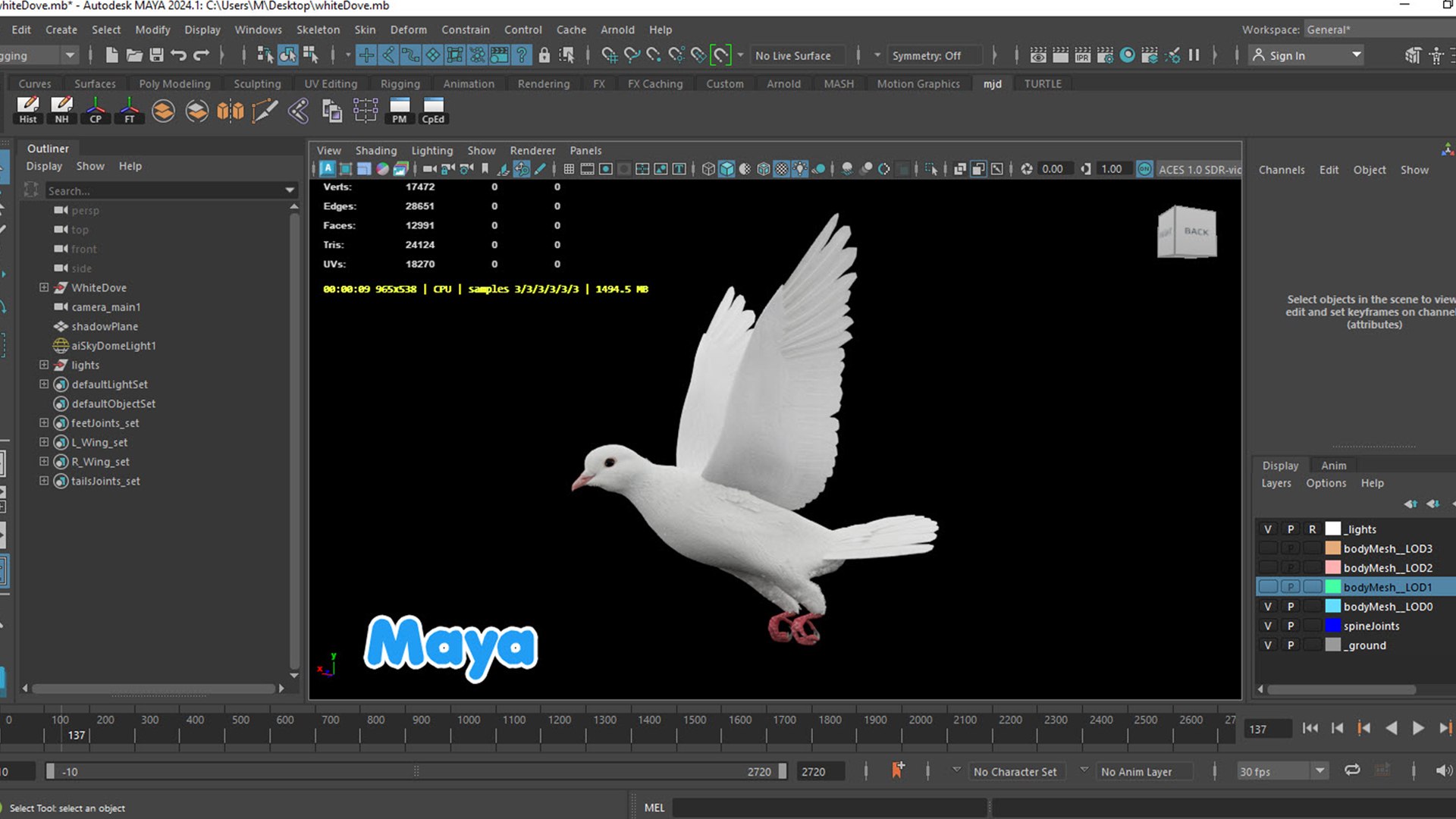 realistic white dove animations 3D model https://p.turbosquid.com/ts-thumb/Aa/pC6fOI/2c/1080.7/jpg/1690185678/1920x1080/fit_q87/d4a5a8bd6e402d7e6b886cda0add41d00db520d2/1080.7.jpg