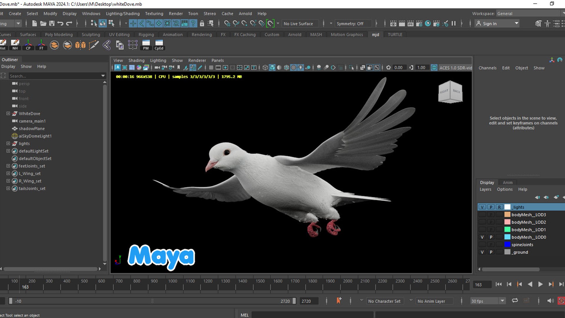 realistic white dove animations 3D model https://p.turbosquid.com/ts-thumb/Aa/pC6fOI/4N/1080.6/jpg/1690185678/1920x1080/fit_q87/eef4084abe3b607babdaf5617ec40a4d2d8c3797/1080.6.jpg
