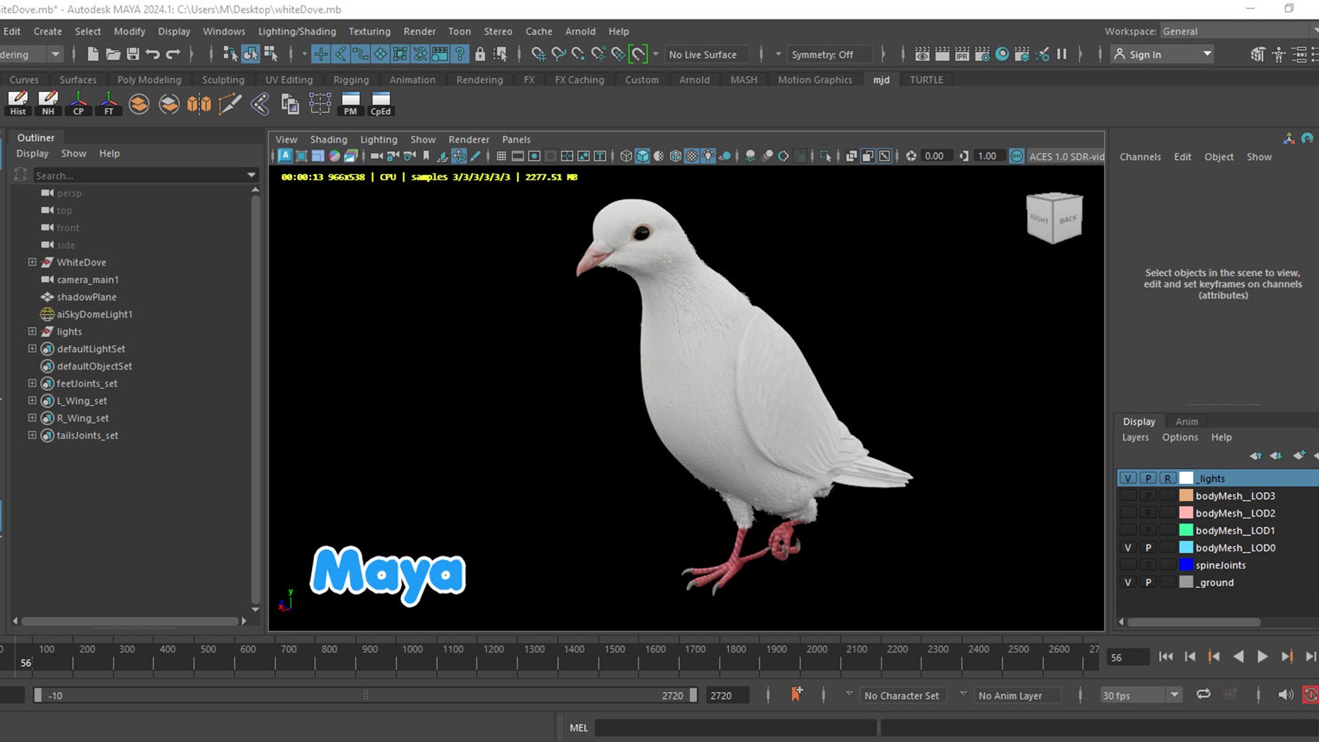 realistic white dove animations 3D model https://p.turbosquid.com/ts-thumb/Aa/pC6fOI/Tu/1080.5/jpg/1690185678/1920x1080/fit_q87/17097f07a3058434e633edaa28ed4bd8b3667759/1080.5.jpg