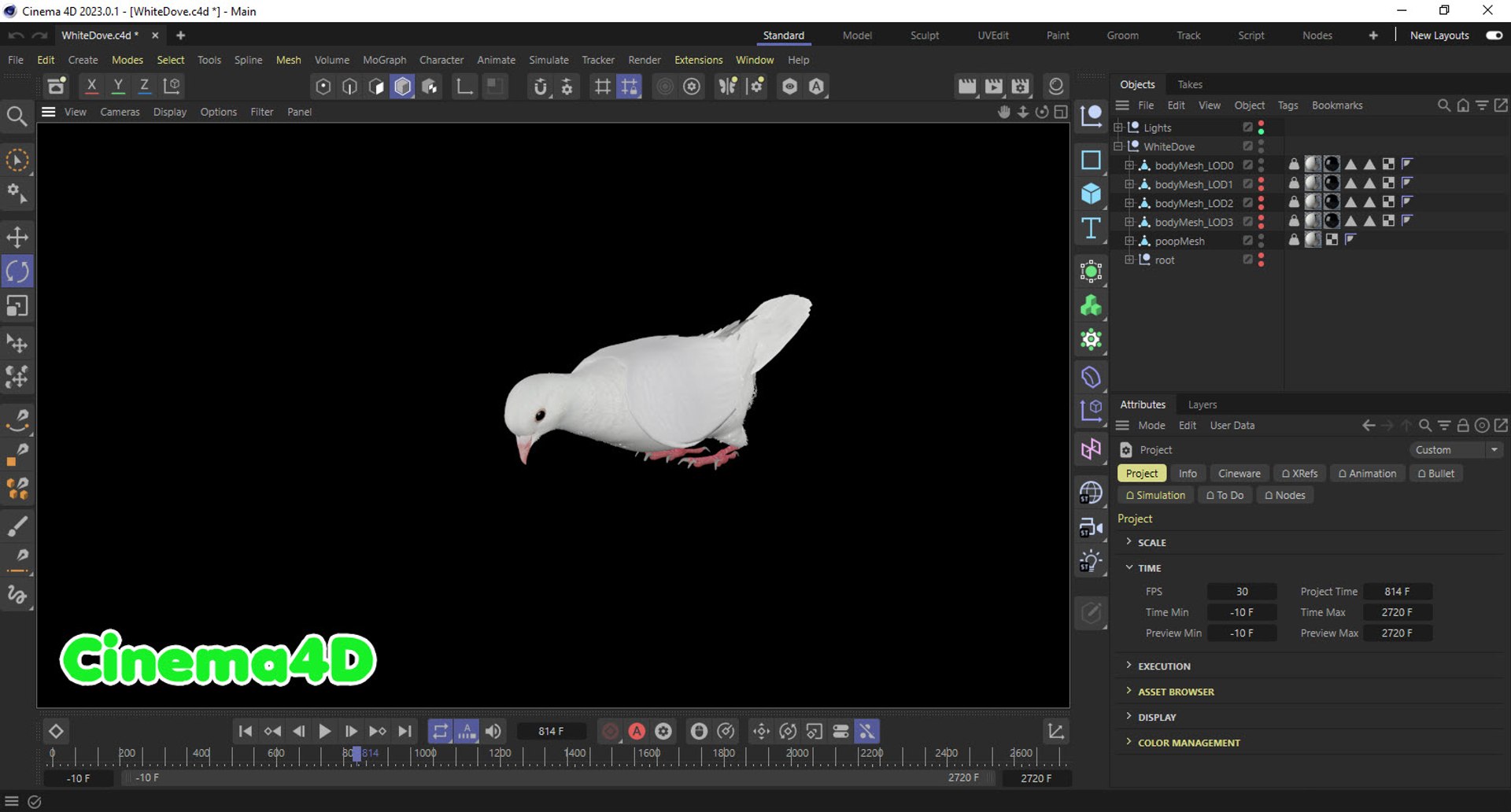 realistic white dove animations 3D model https://p.turbosquid.com/ts-thumb/Aa/pC6fOI/XP/20230721_195940/jpg/1690185680/1920x1080/fit_q87/839c9da3eda57c4acd7dc7bd3cdfd977f8e53094/20230721_195940.jpg