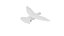 Paloma blanca animada realista Low-poly Low-poly modelo 3D