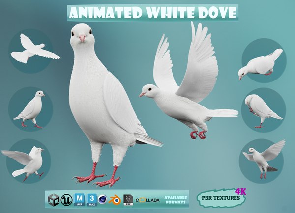 realistic white dove animations 3D model
