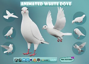 Realistic Animated White Dove Low-poly Low-poly 3D model