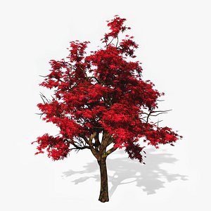 Cherry blossom tree 3D - TurboSquid 1189864