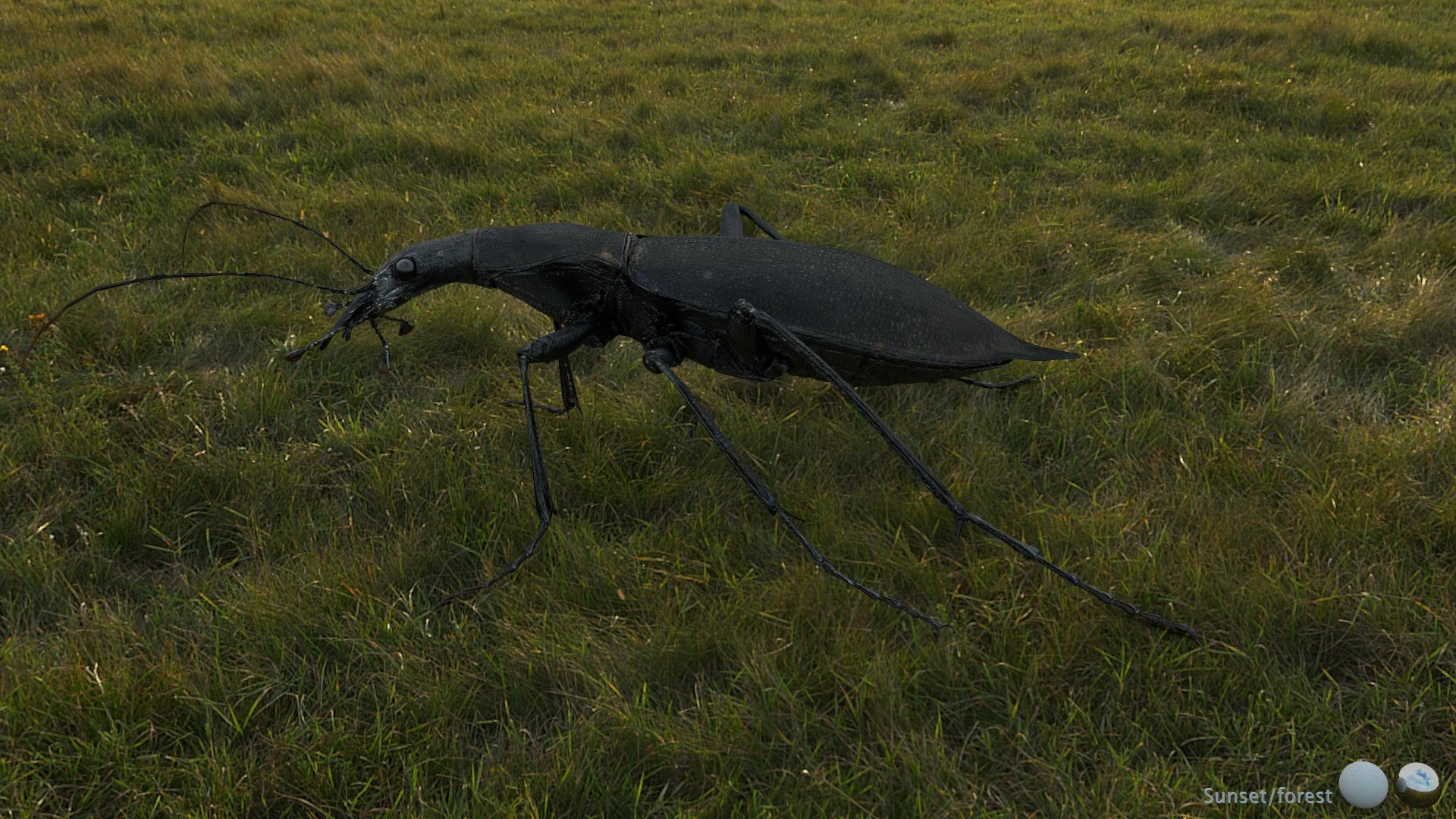 3D Ground Beetle https://p.turbosquid.com/ts-thumb/Aa/tJxmYV/08/002/jpg/1747303506/1920x1080/fit_q87/1d5e57e940839afdb43b42ec1a3b92f1745755a1/002.jpg